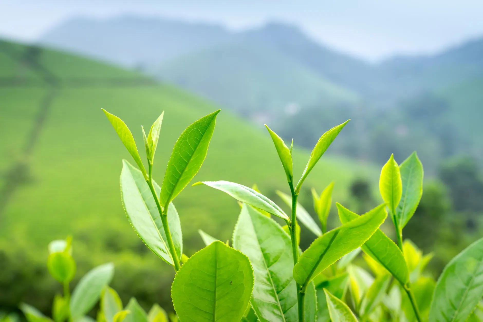 慈溪针织产业带羊毛衫外贸代工的质量管控要点分析
