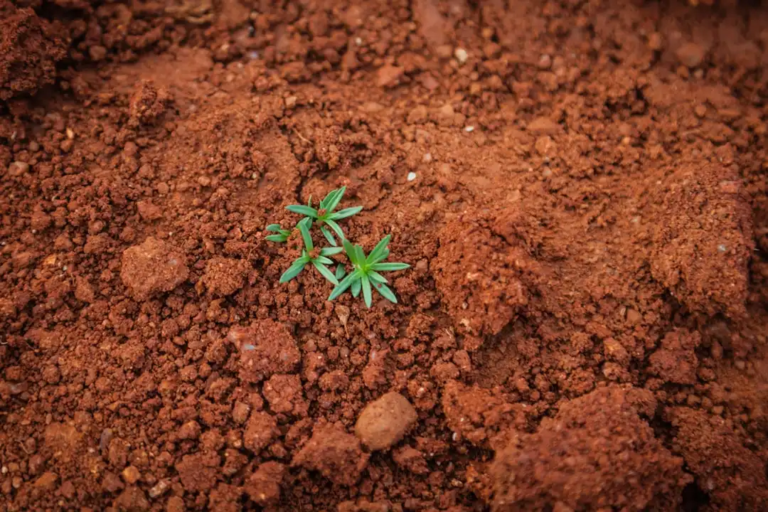 羊毛衫ODM生产中新型针织工艺应用与效率提升方案