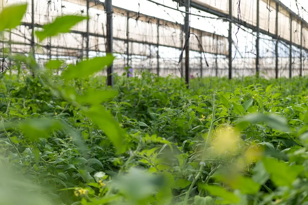 慈溪羊毛衫外贸代工：ODM生产流程与品质管控详解