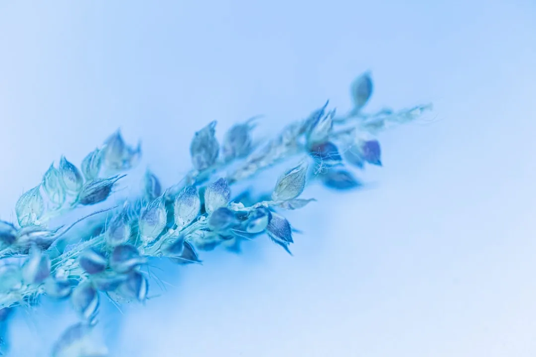 羊毛衫与针织开衫ODM生产中纱线选型对成衣品质的影响
